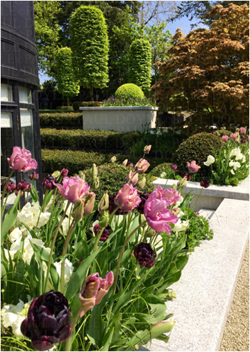 Regent's Garden